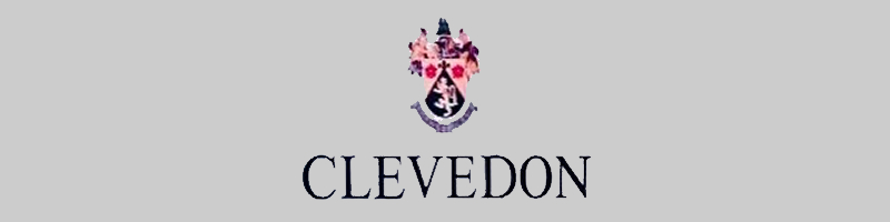 aerial Clevedon